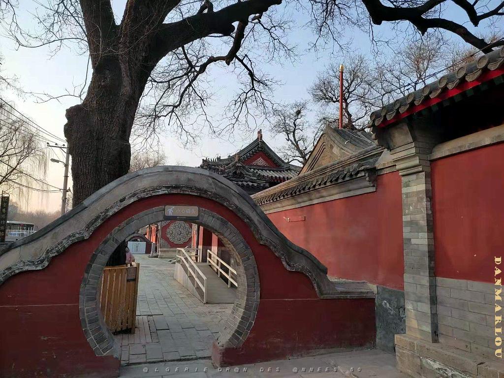 2023 02 05  PEKIN - WANSHOU TEMPLE LONGEVITE BIENVEILLANCE (5).jpg